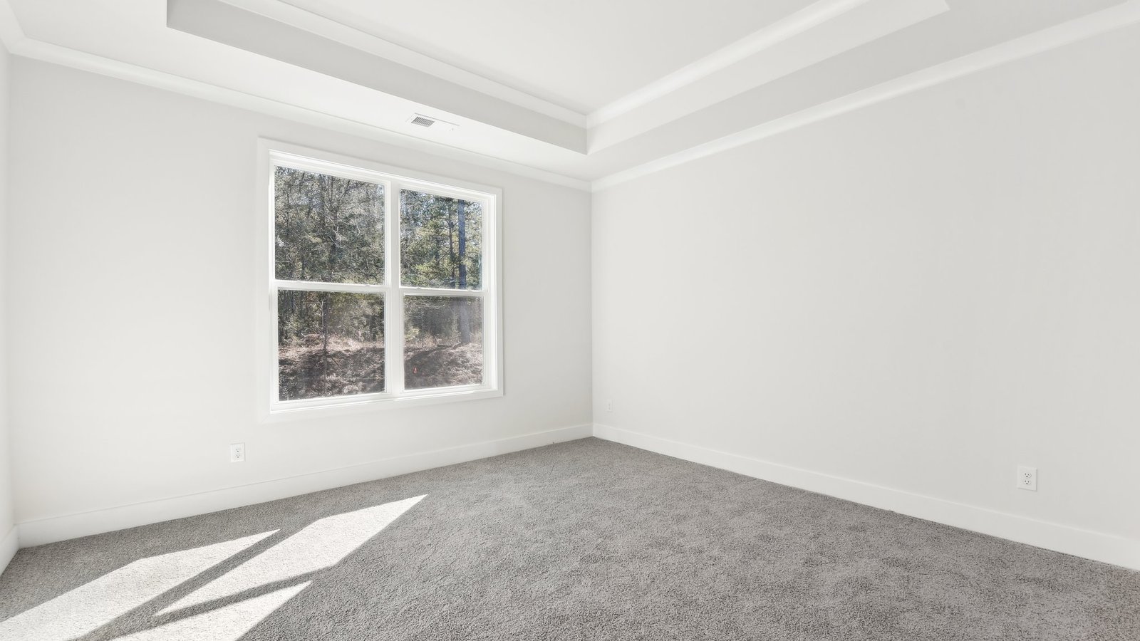 Primary bedroom with beige carpet and large window