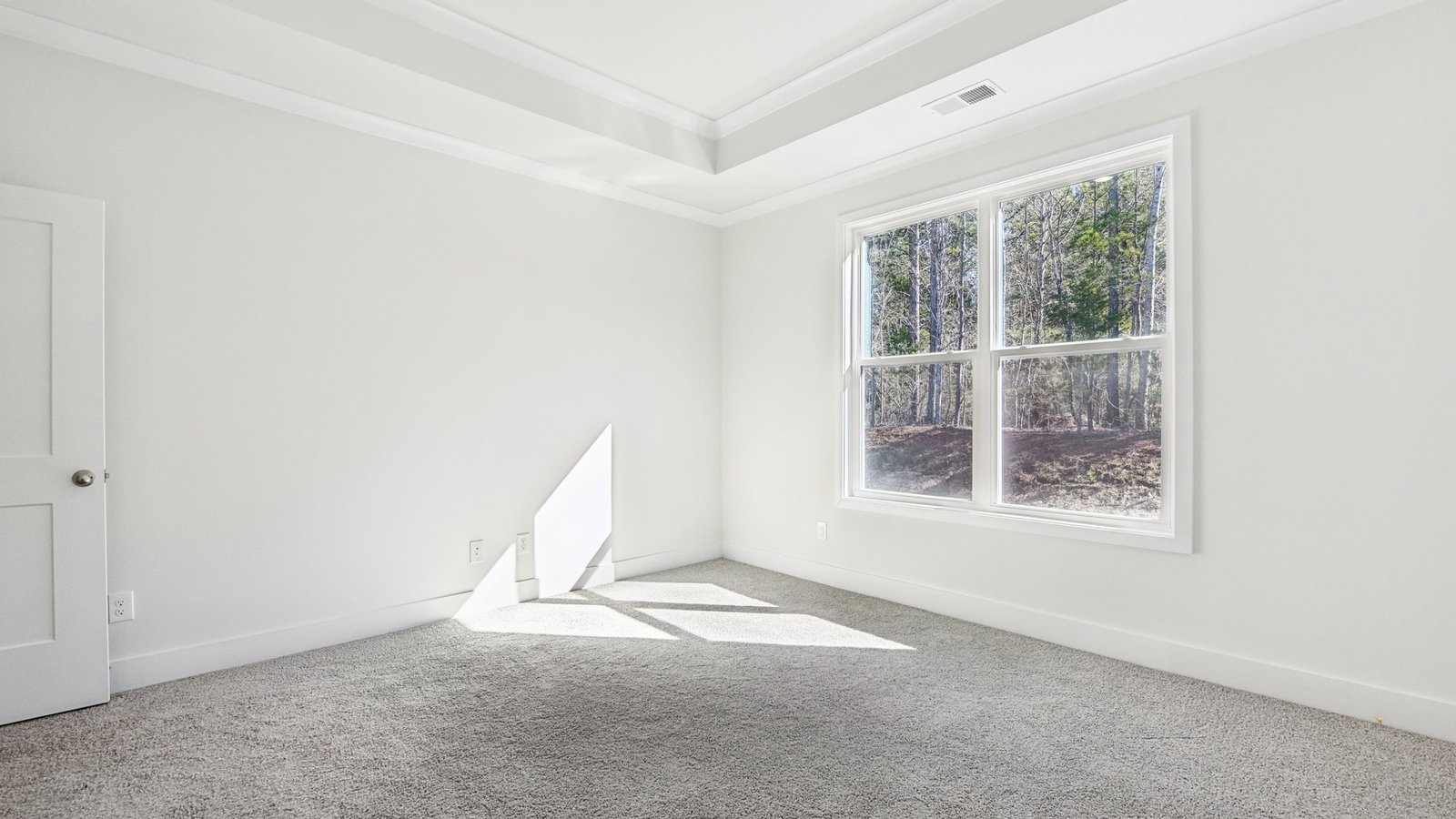 Primary bedroom with beige carpet and large window