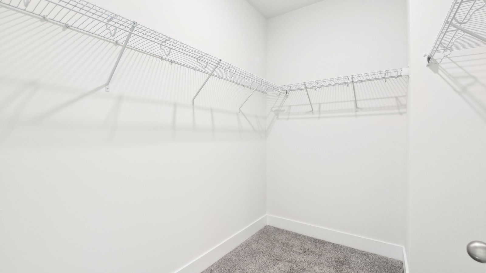 Primary bedroom walk in closet with carpet