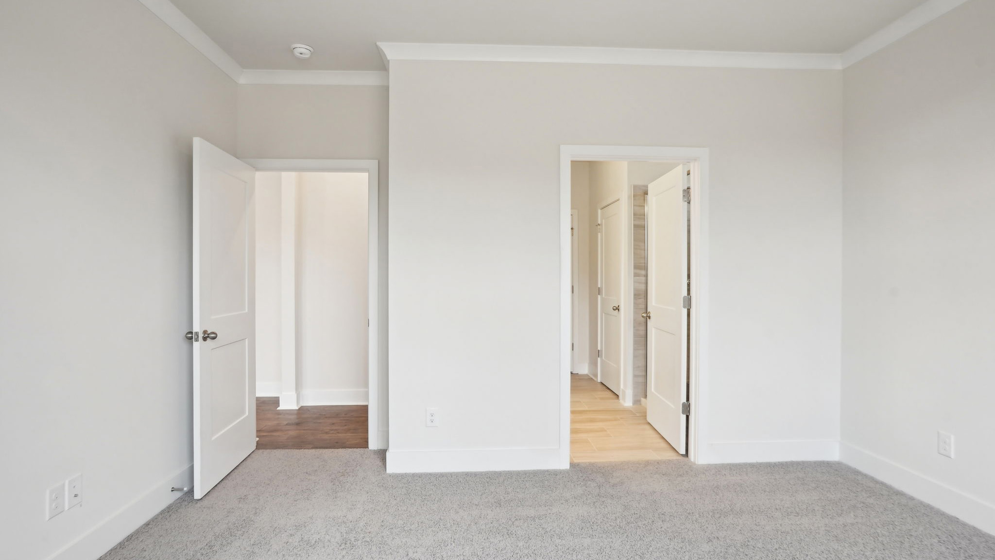 Primary bedroom with beige carpet and large window