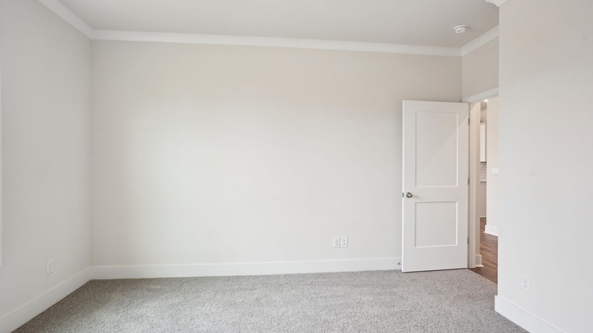 Primary bedroom with beige carpet and large window