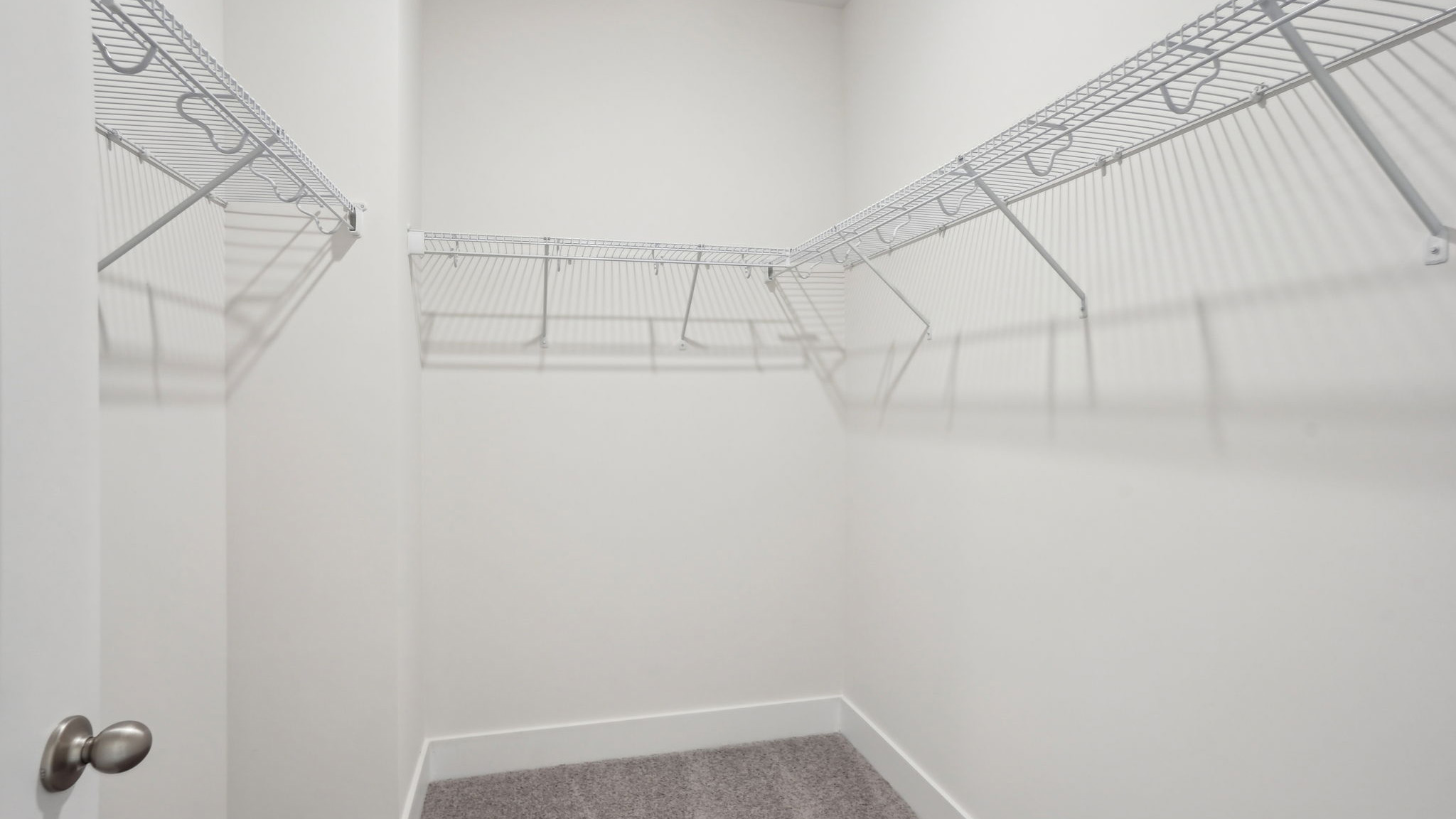 Primary bedroom walk in closet with carpet
