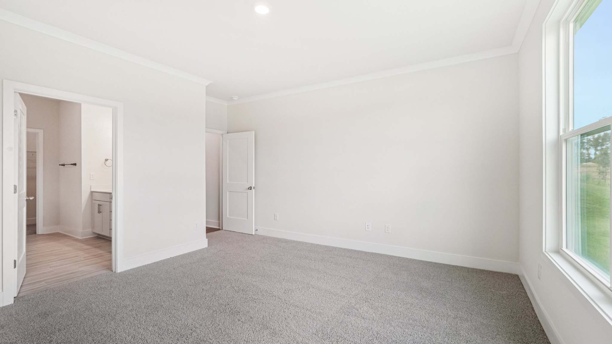 Primary bedroom with carpet and large window