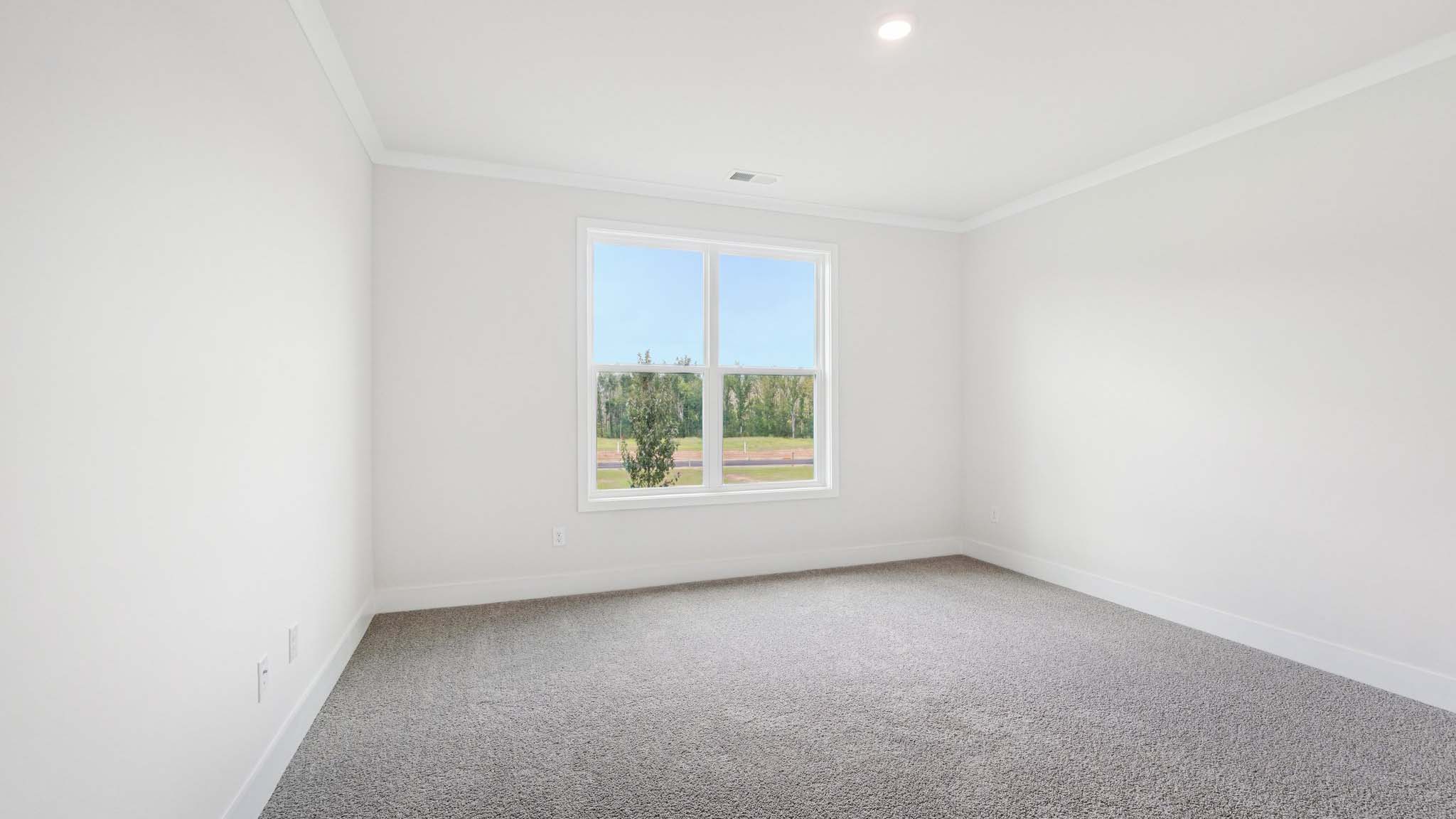 Primary bedroom with carpet and large window