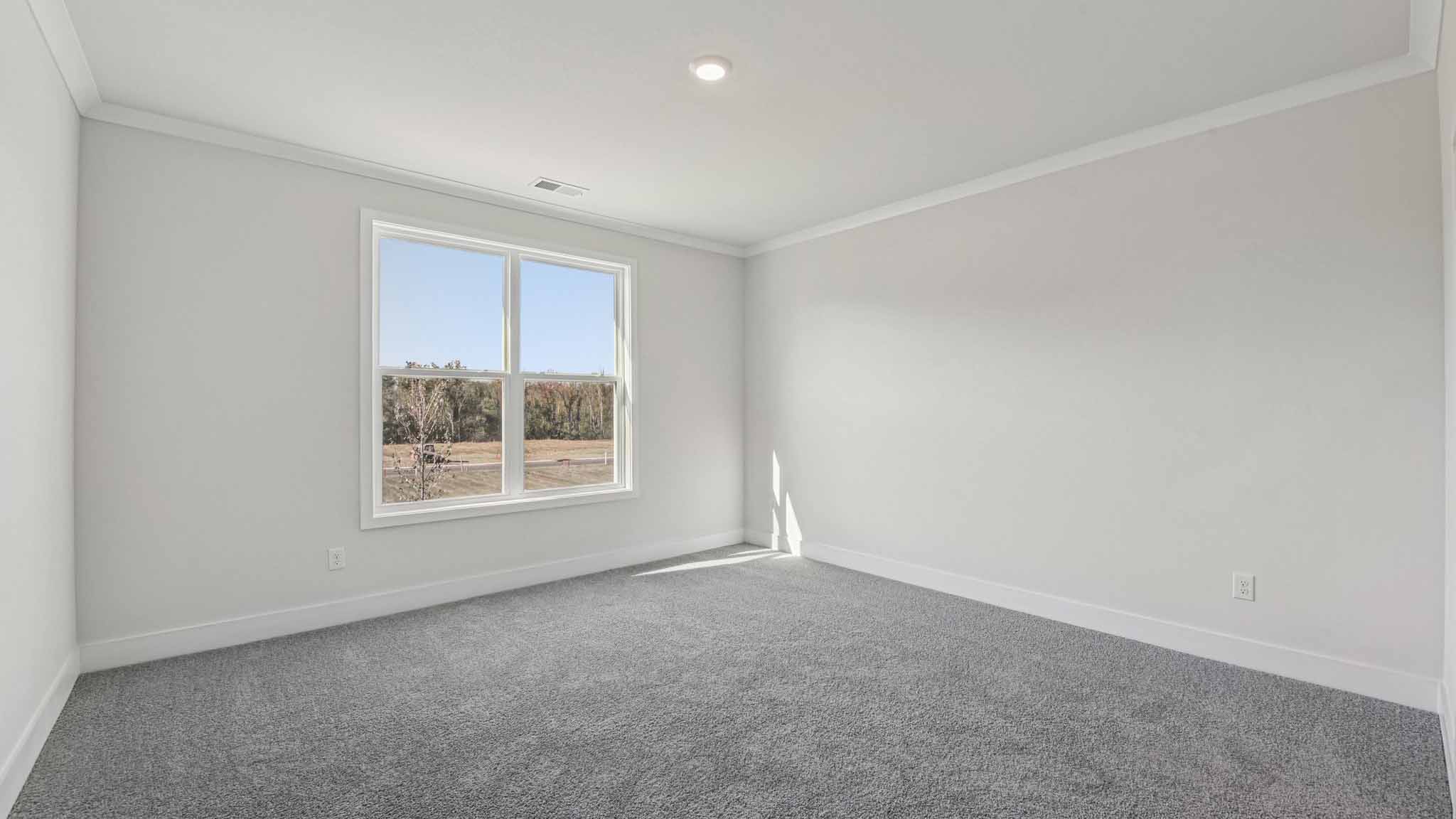 Carpeted bedroom with large window