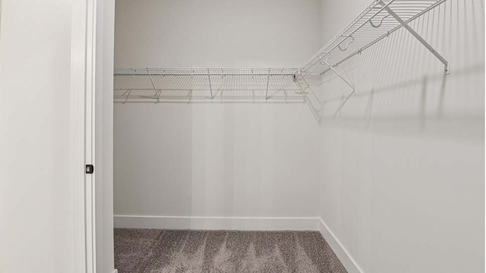 Primary carpeted walk in closet