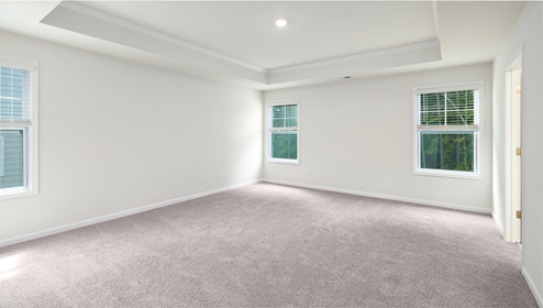 Large carpeted bedroom with three windows