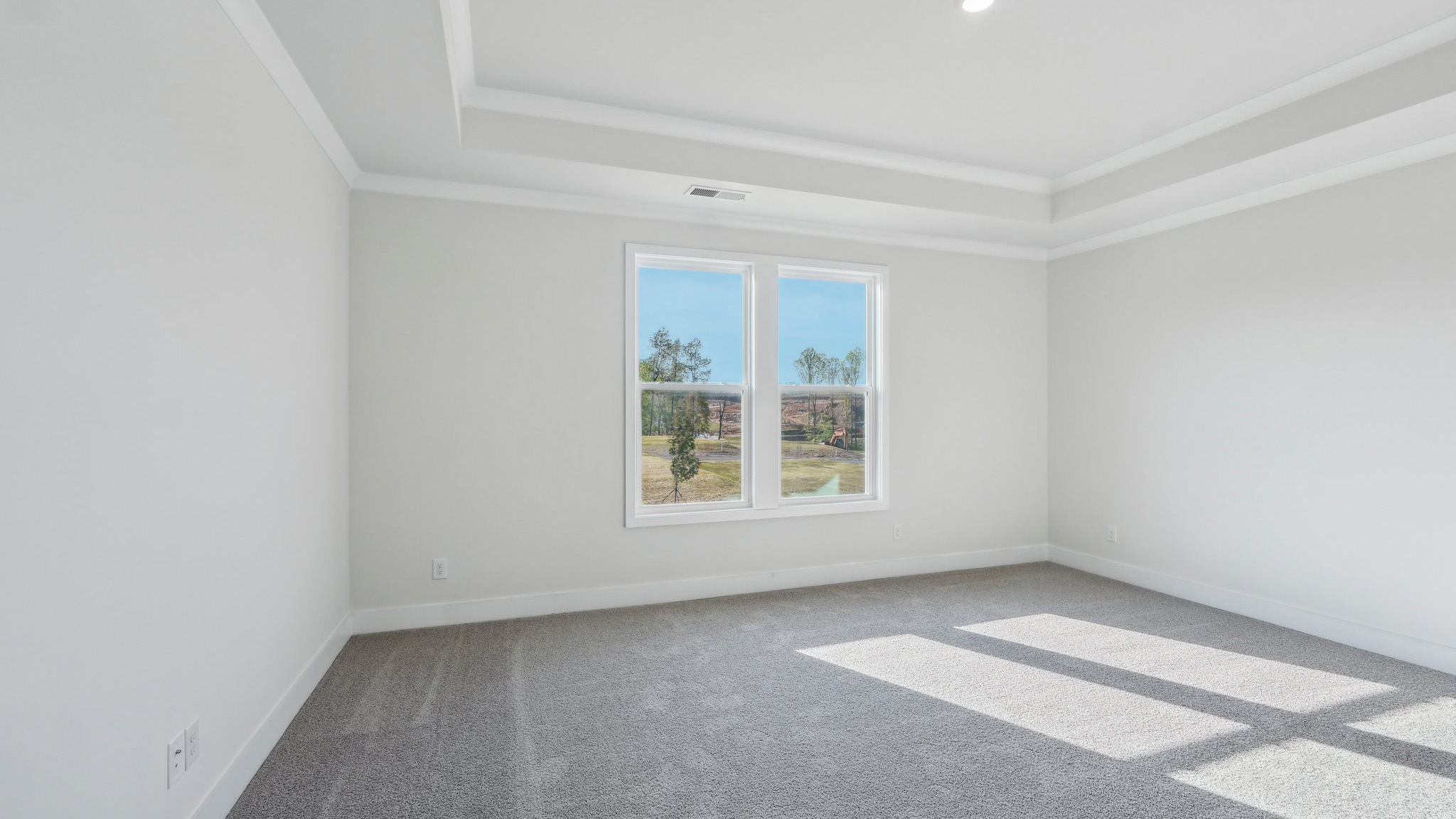 Primary bedroom with carpet and large window