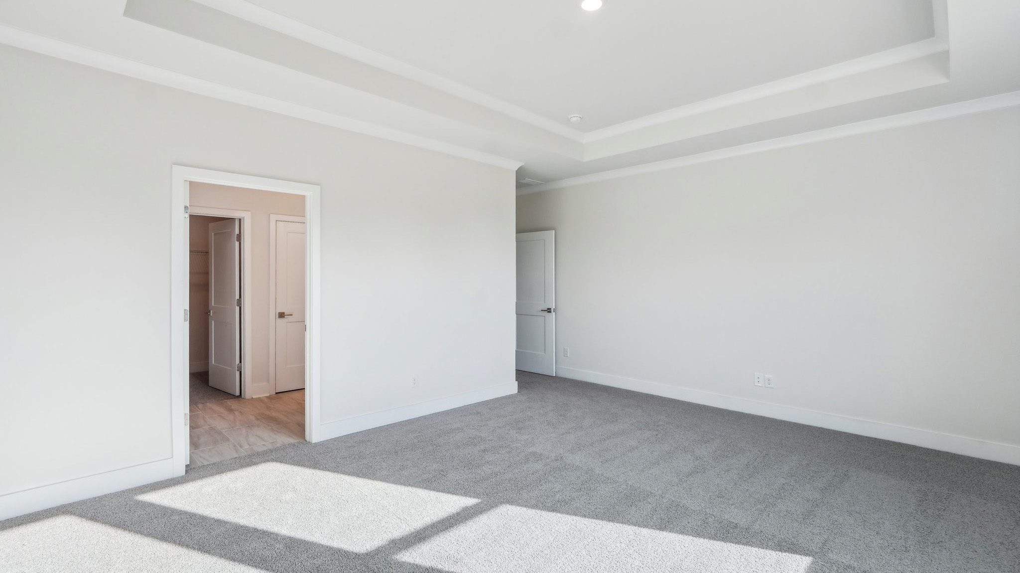 Primary bedroom with carpet and large window