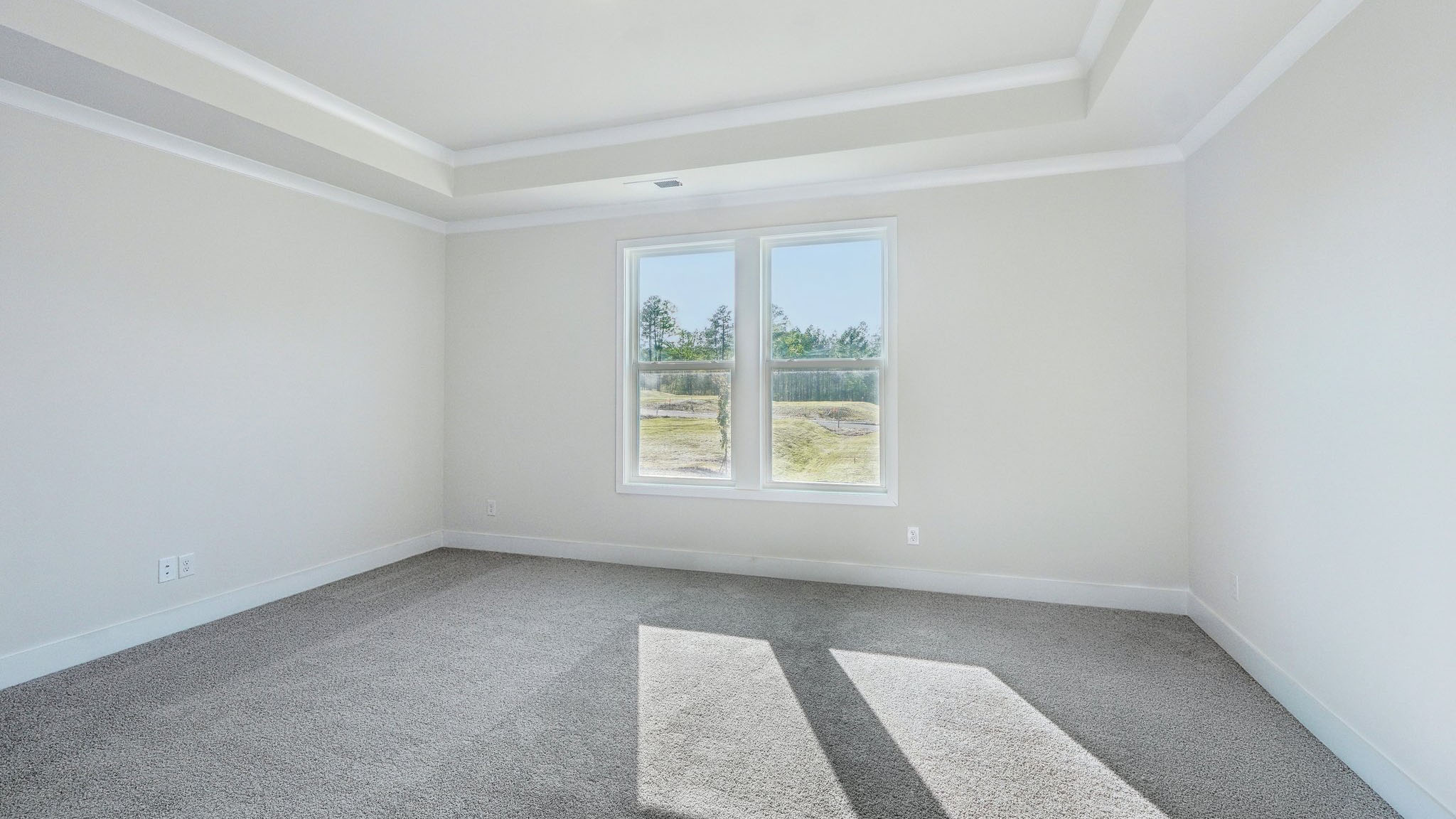 Primary bedroom with carpet and large window