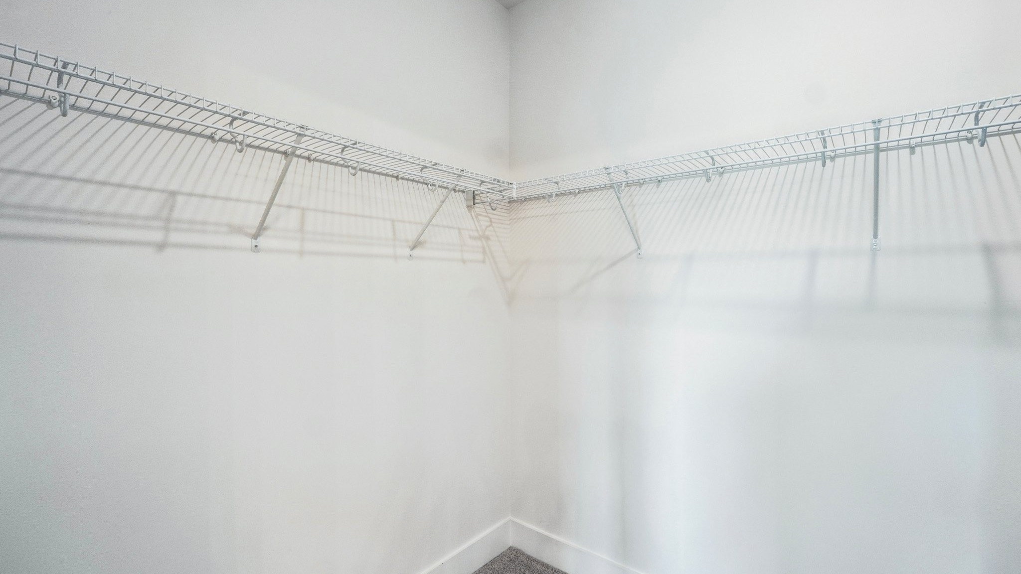 Primary carpeted walk in closet