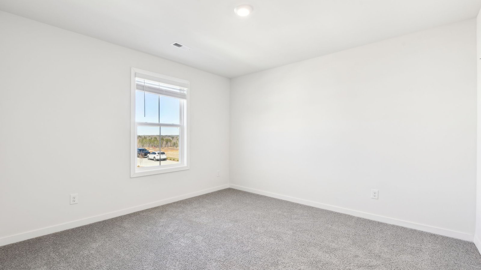 carpeted bedroom with two large windows