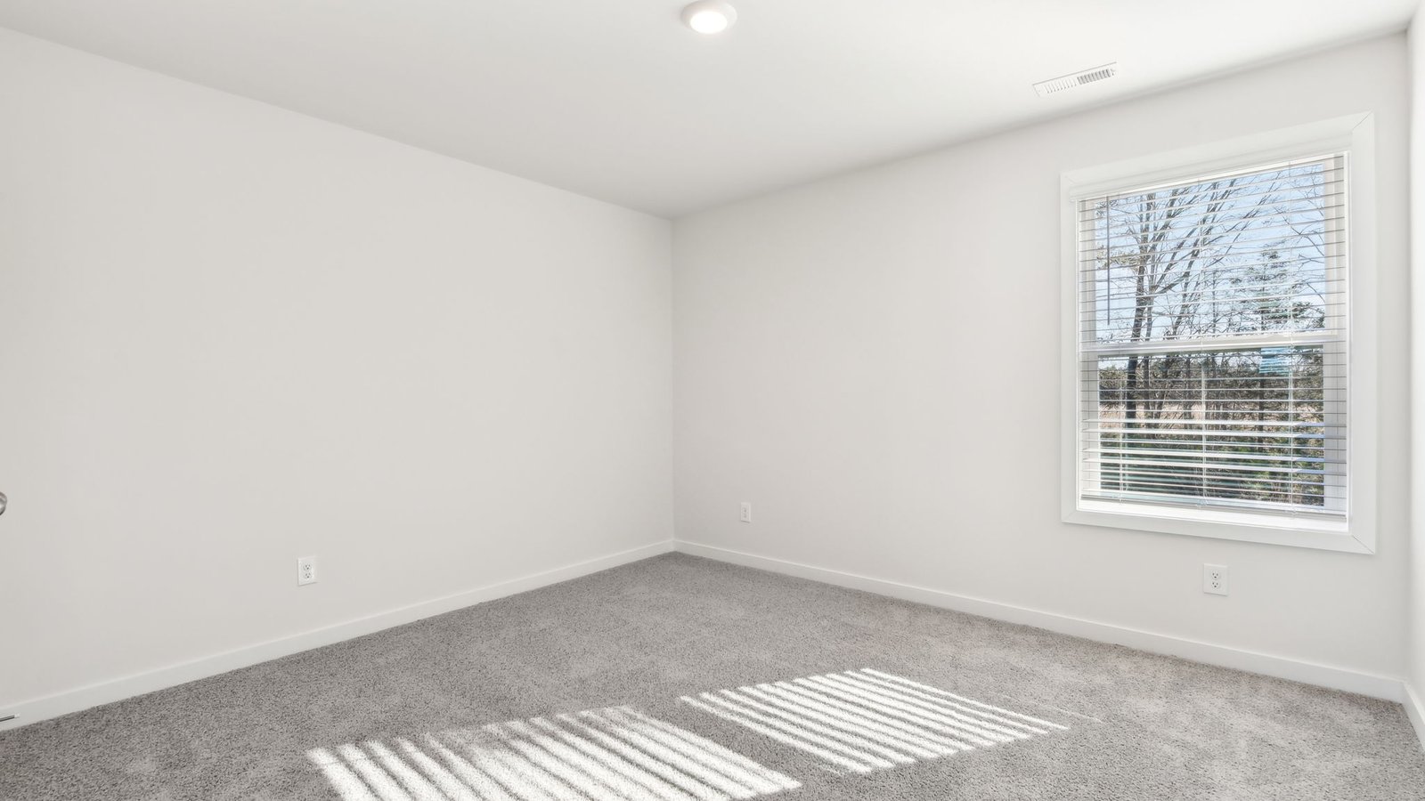 carpeted bedroom with two large windows