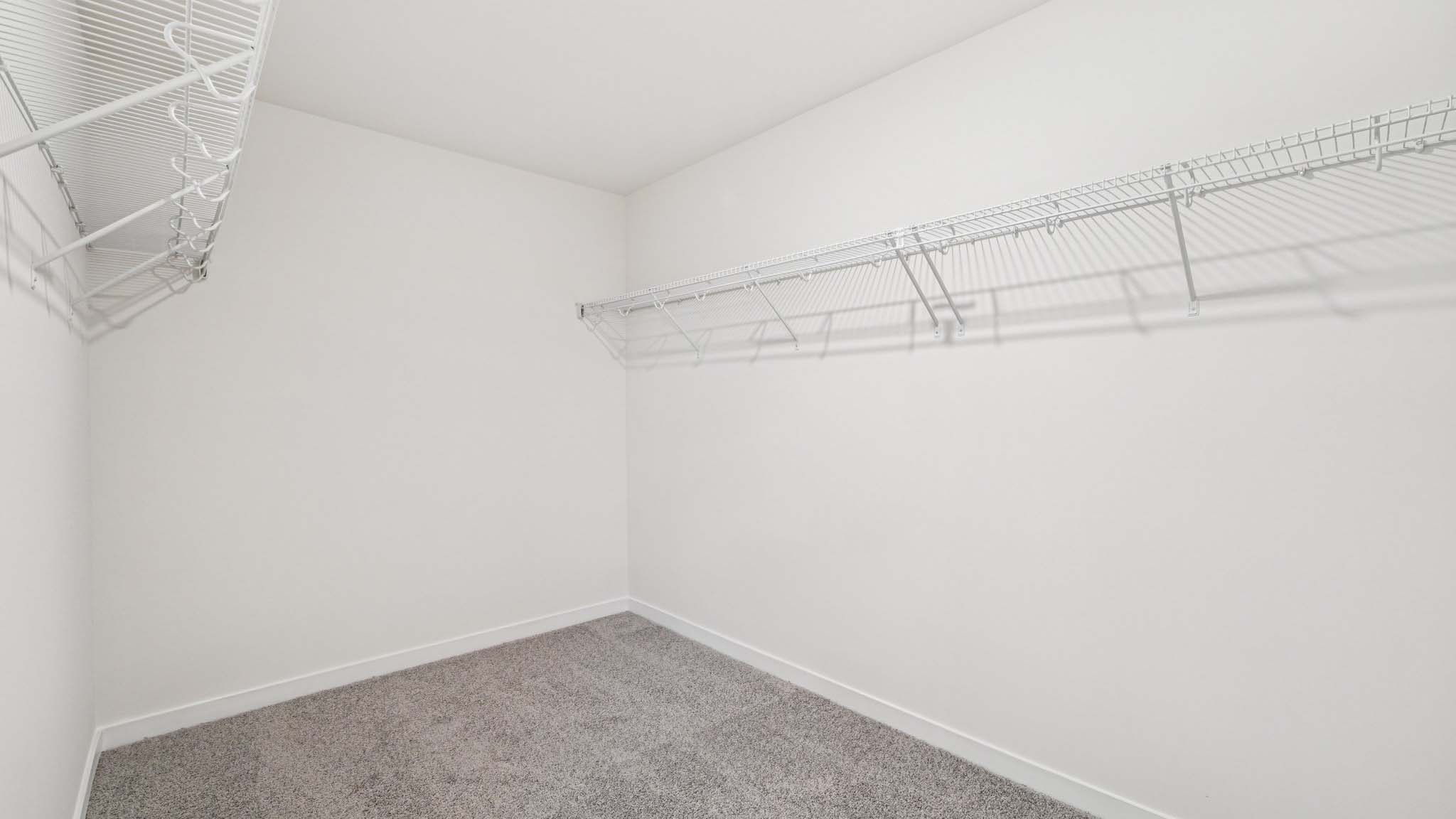 Primary carpeted walk in closet