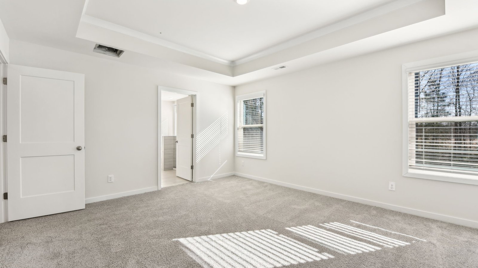 Primary carpeted bedroom with large windows