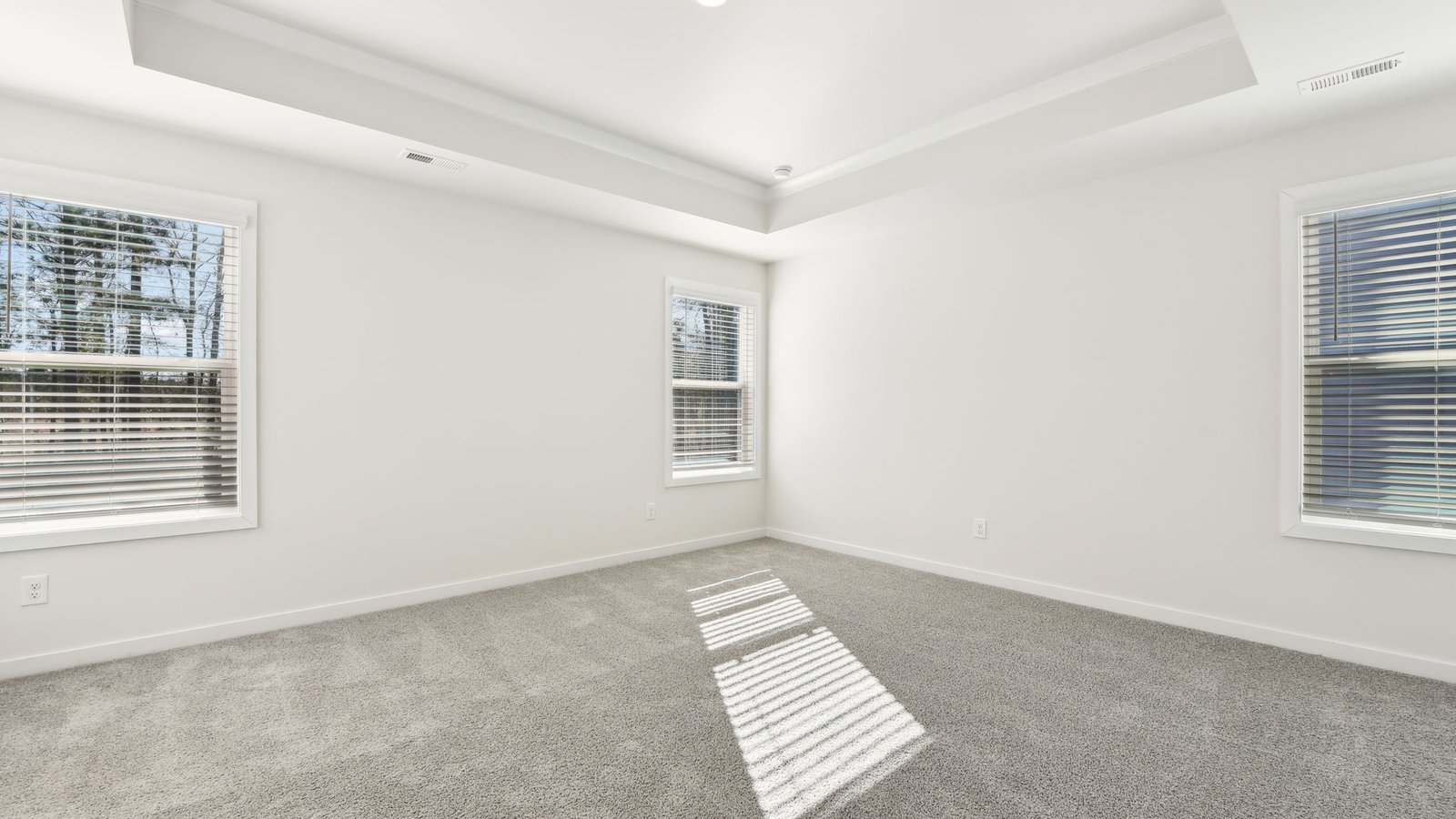 Primary carpeted bedroom with large windows