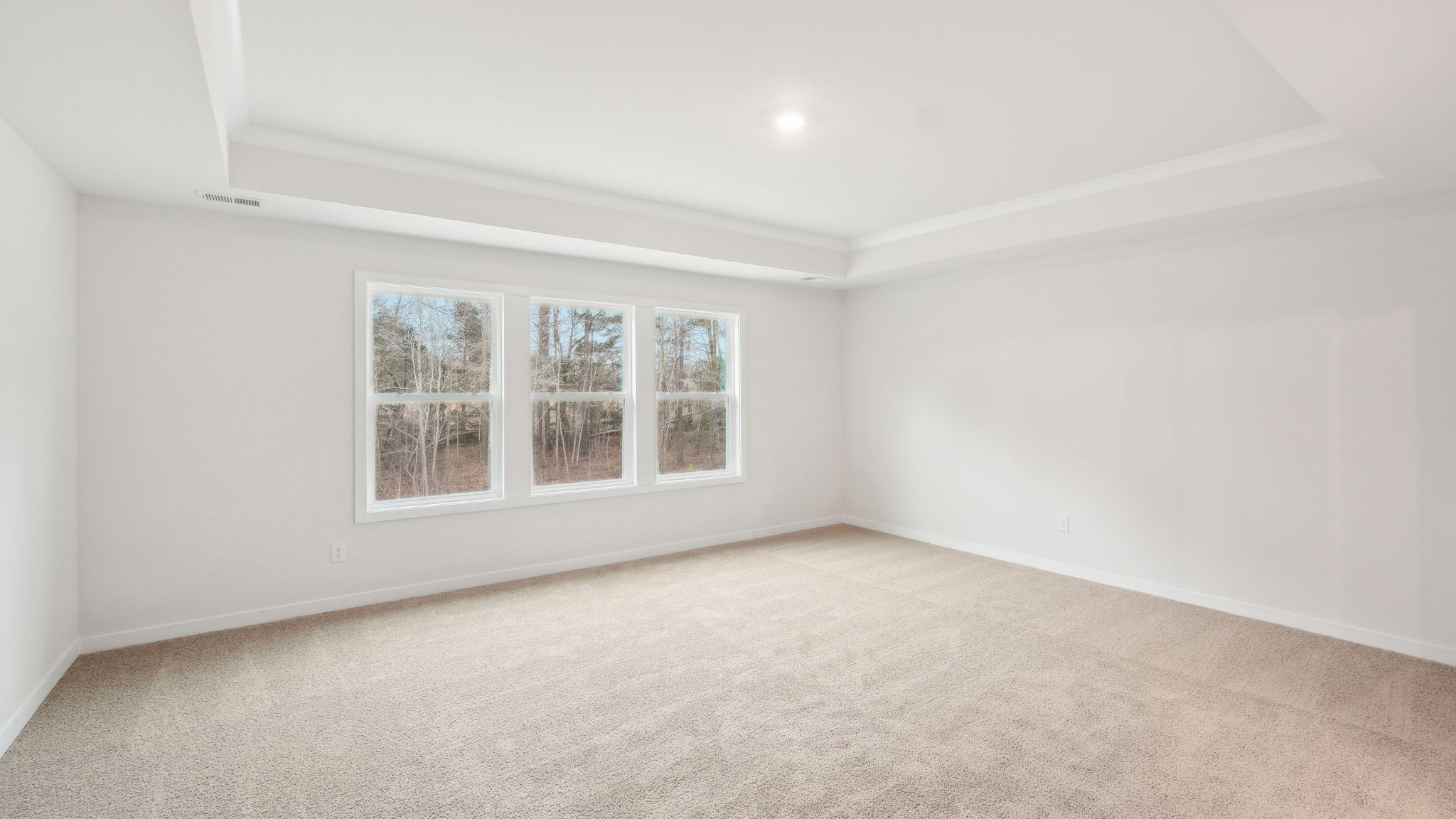 primary carpeted bedroom with 3 large windows