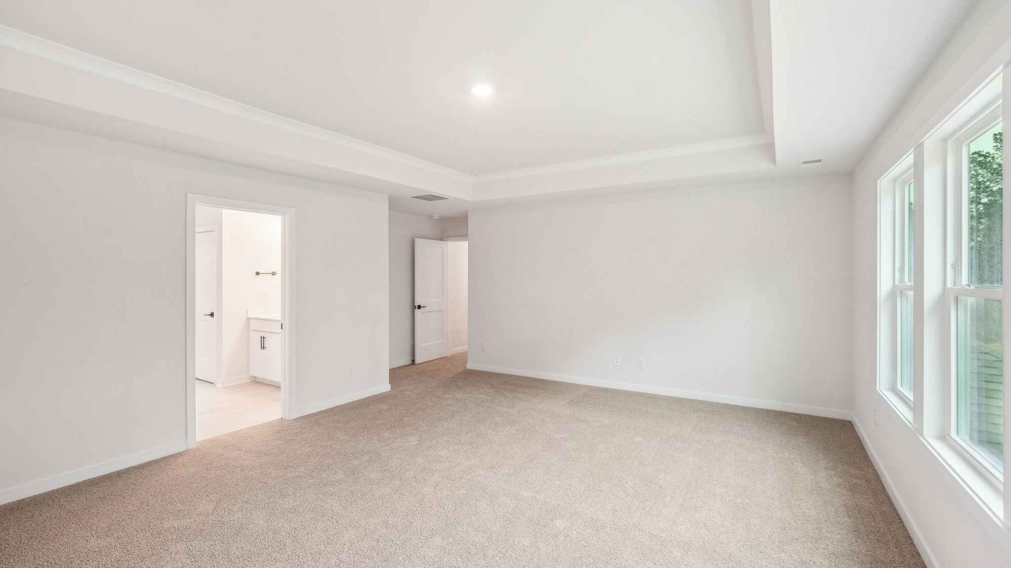 primary carpeted bedroom with 3 large windows