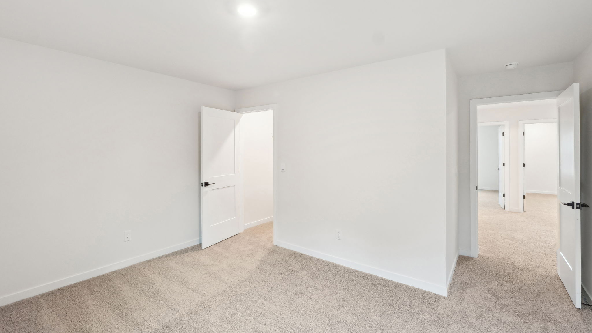 primary carpeted bedroom with 3 large windows