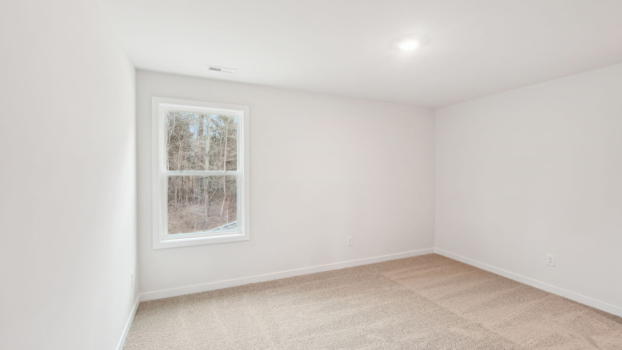 carpeted bedroom with large window