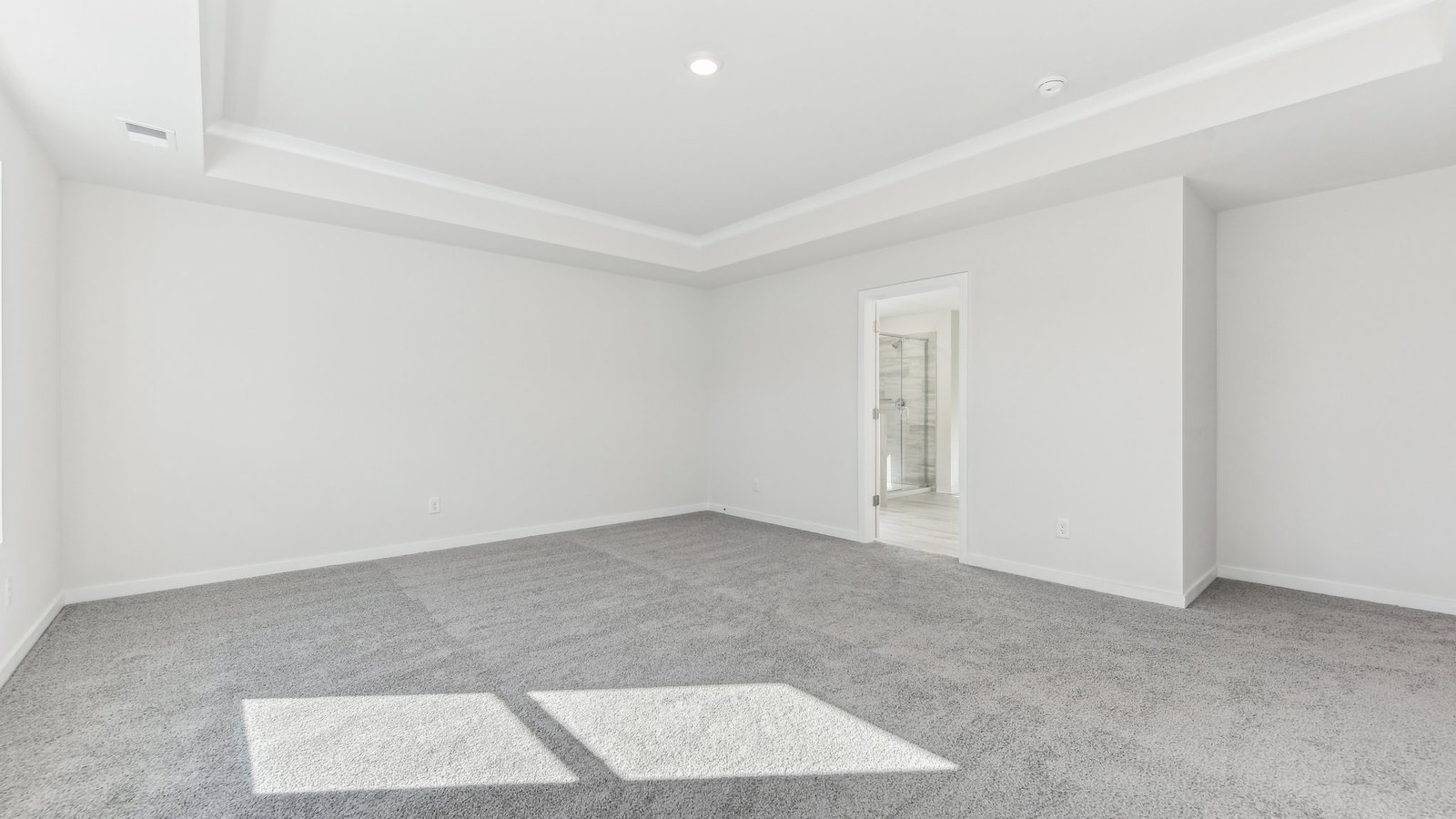 primary carpeted bedroom with 3 large windows