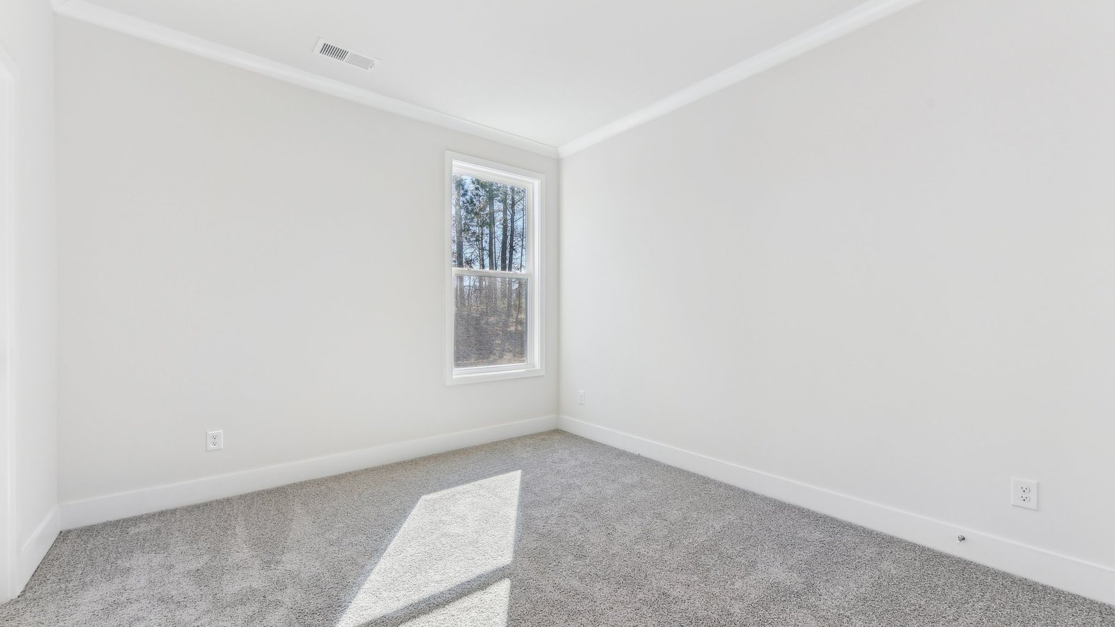 carpeted bedroom with large window