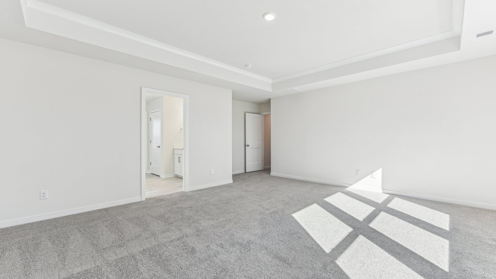 primary carpeted bedroom with 3 large windows