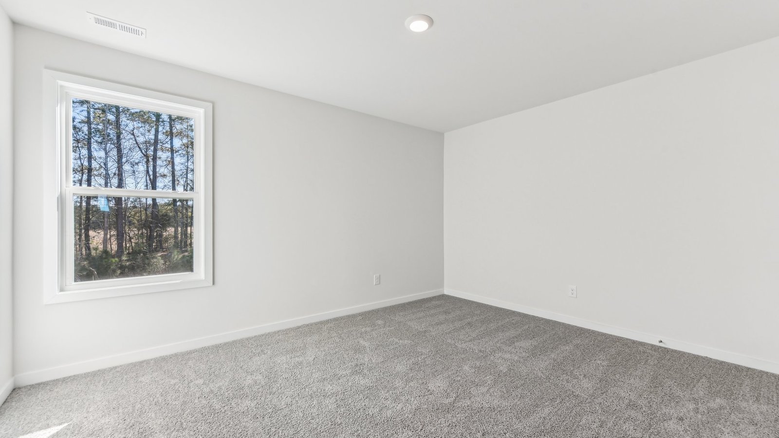 carpeted bedroom with large window