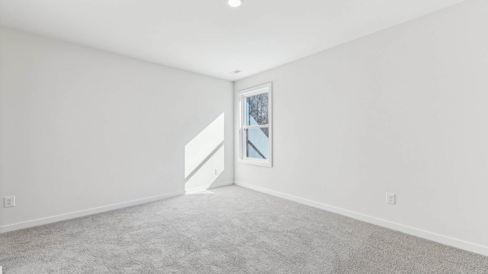 carpeted bedroom with large window