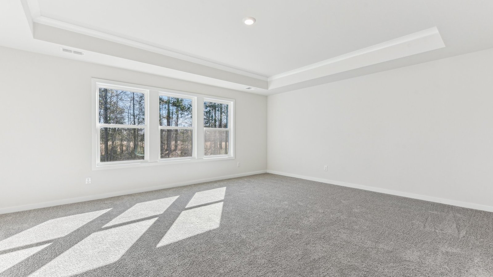 primary carpeted bedroom with 3 large windows
