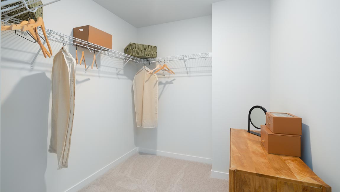 Primary carpeted walk in closet