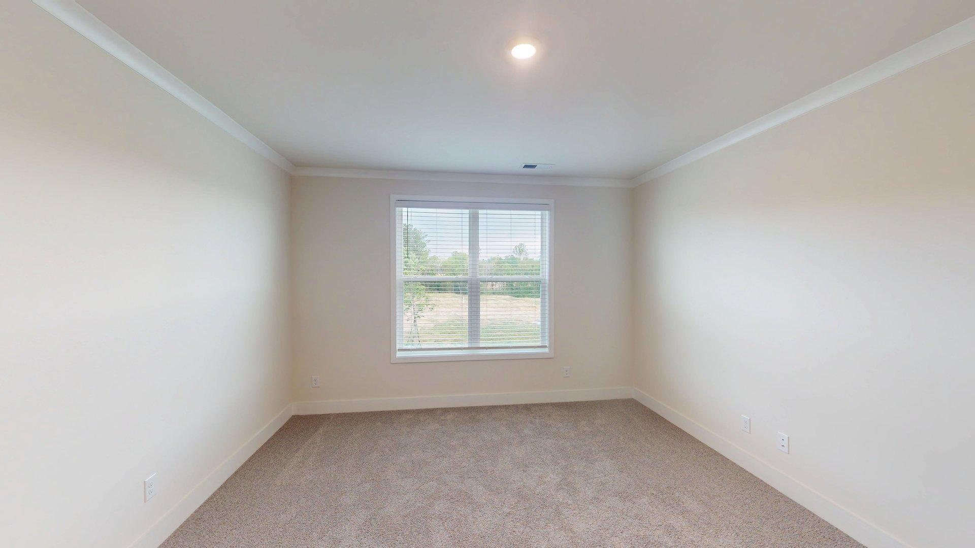 Carpeted bedroom with large window