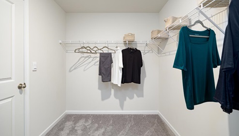 Fergus Crossing Penwell Model primary bedroom walk in closet with carpet