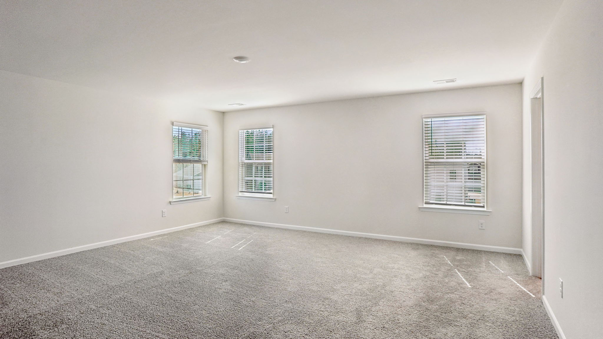 Primary bedroom with carpet and large windows