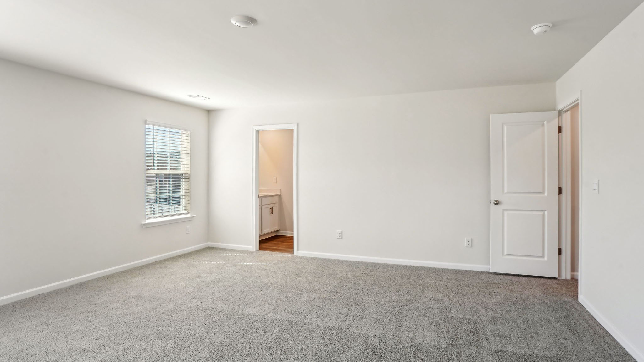 Primary bedroom with carpet and large windows