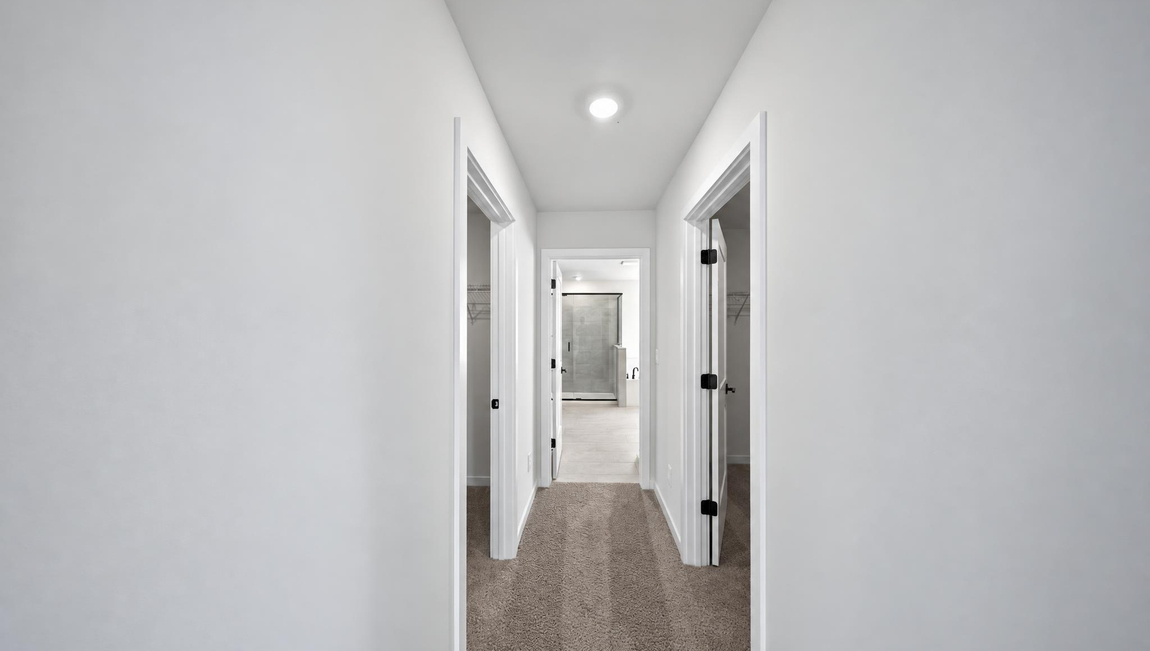 Primary carpeted bedroom with windows