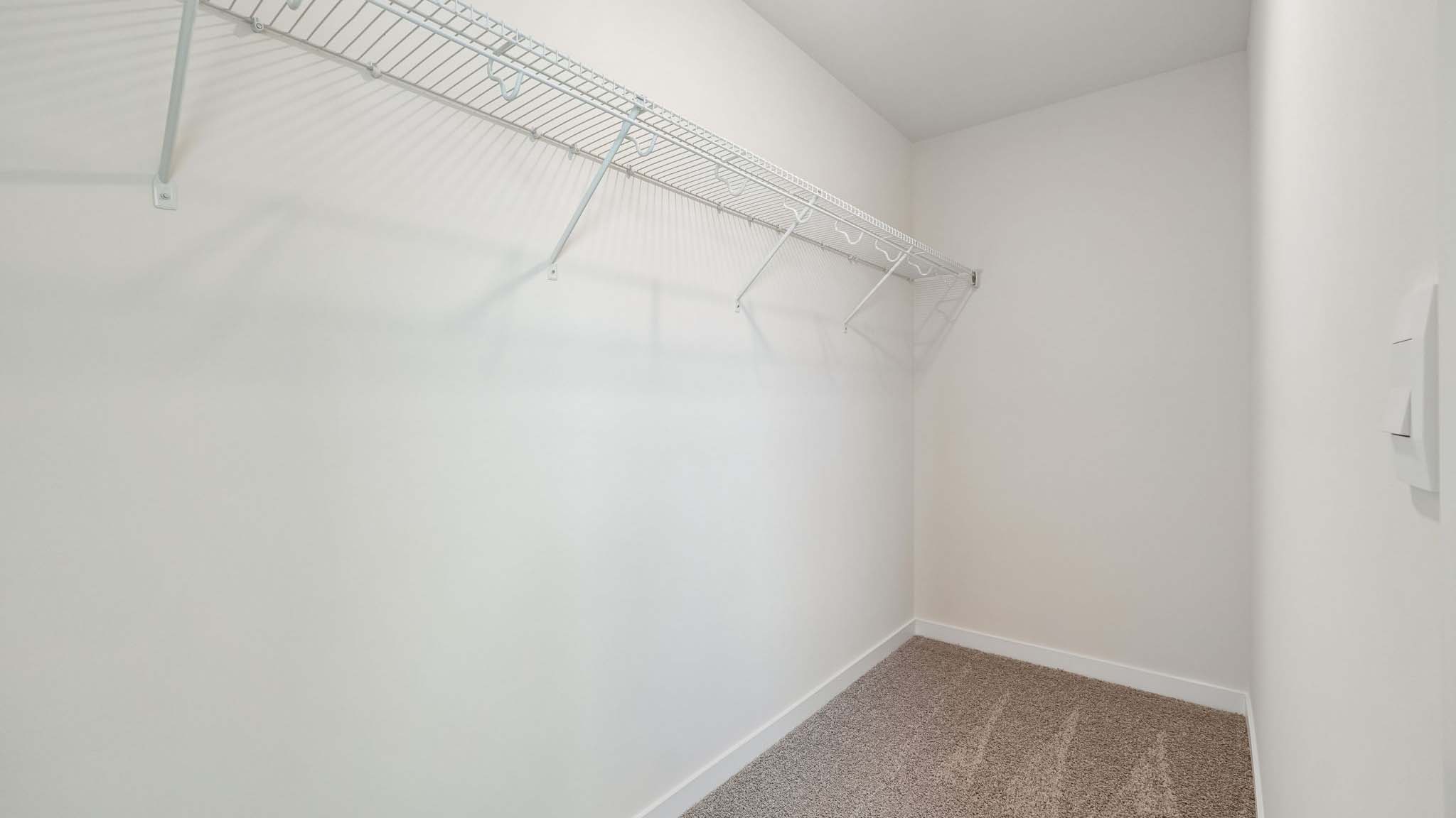 Carpeted walk in closet