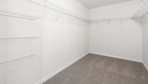 Primary carpeted walk in closet