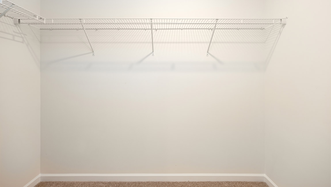 Model primary carpeted walk in closet with window