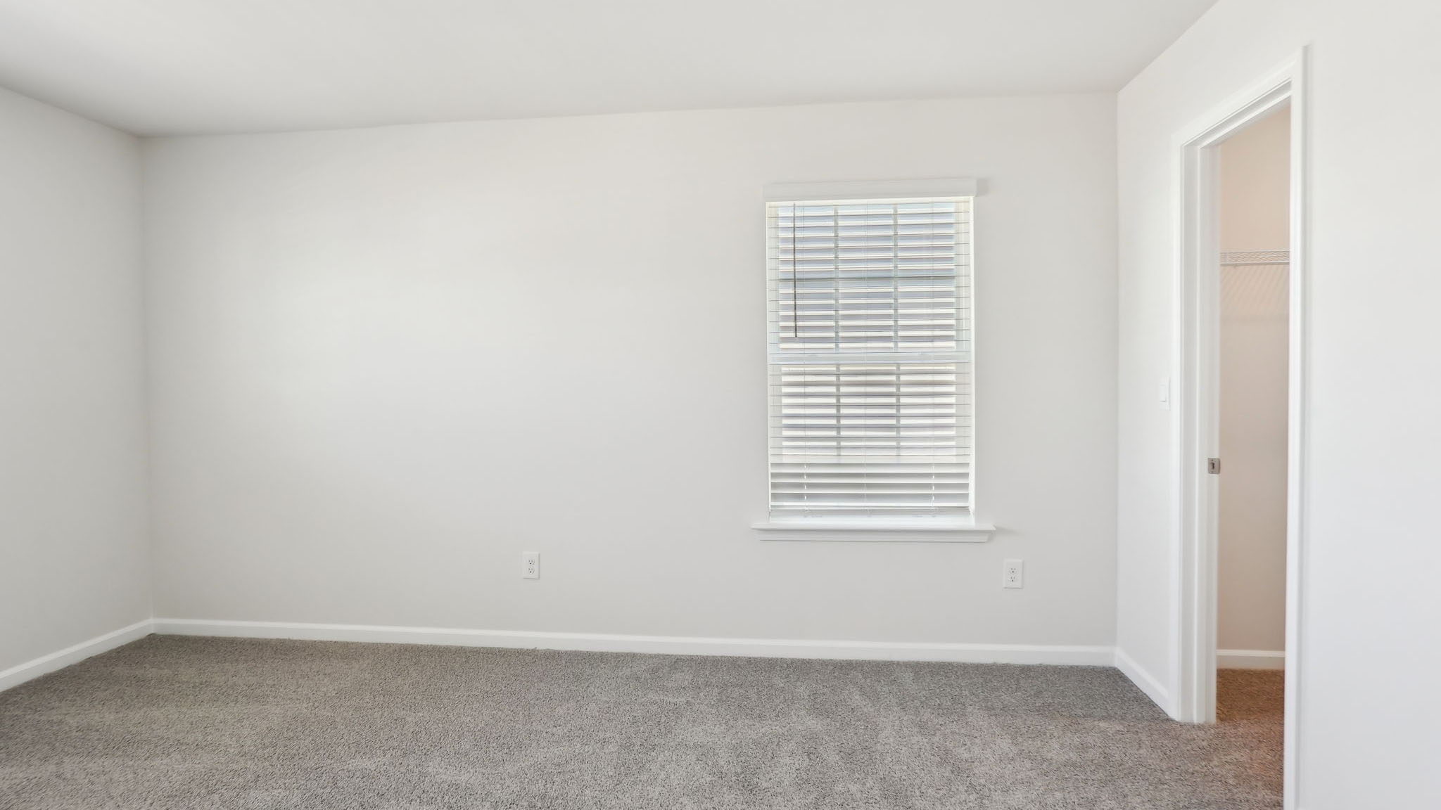 Carpeted bedroom with two large windows