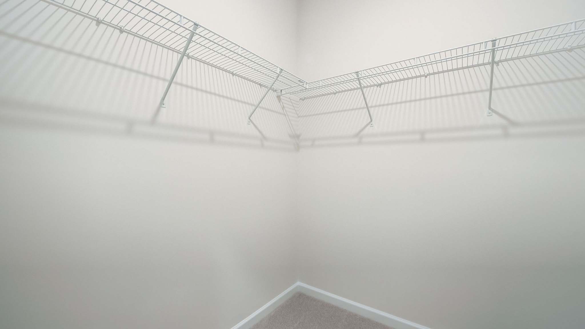 Primary bedroom walk in closet with carpet and hanging racks