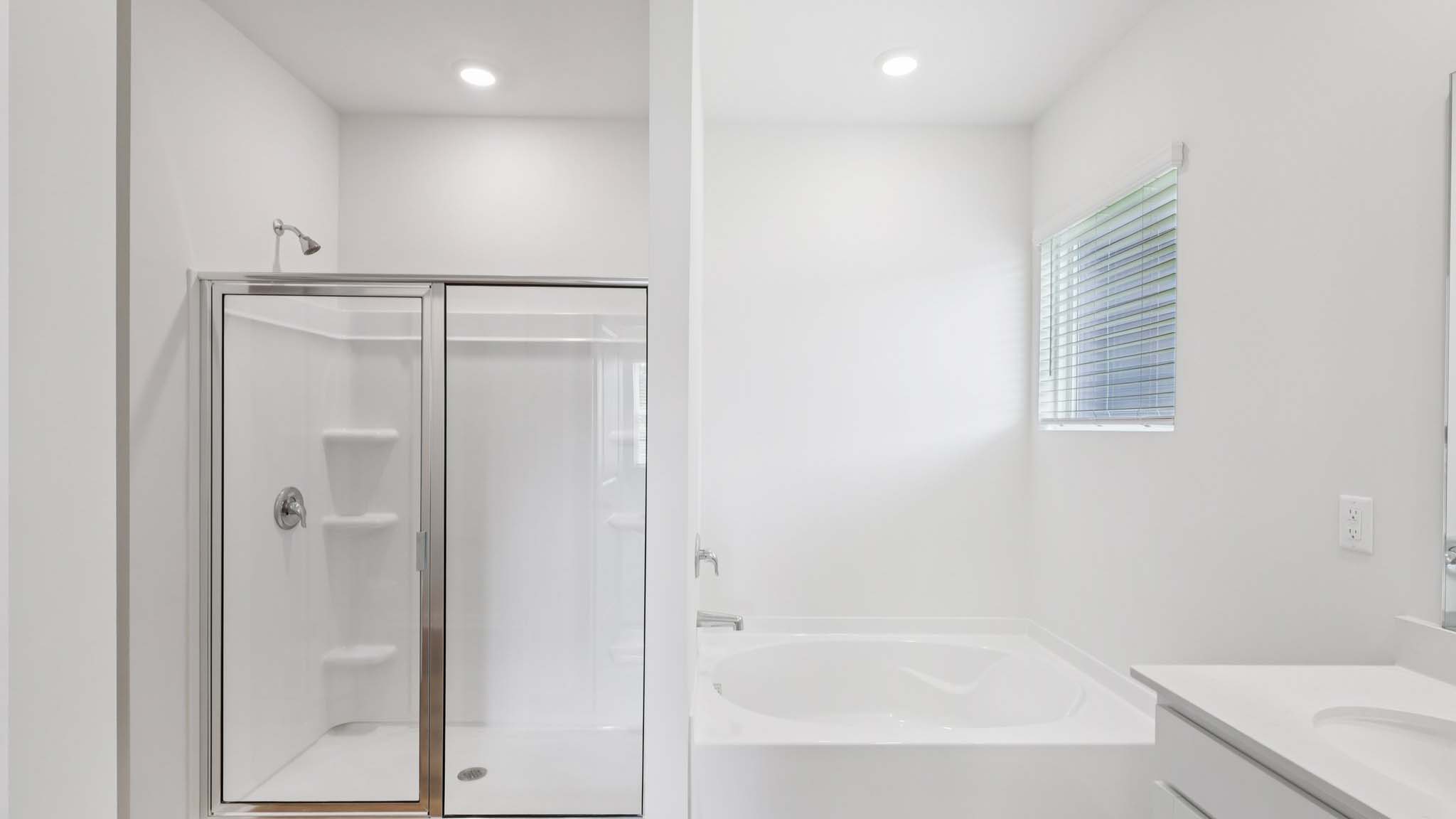 Bathroom and carpeted walk in closet view
