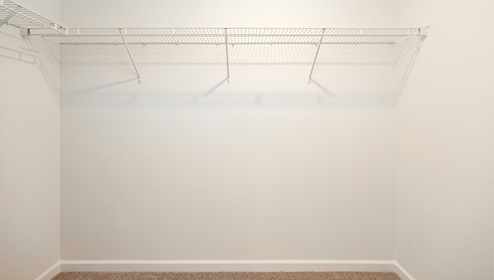 Primary bedroom walk in closet with carpet and hanging racks