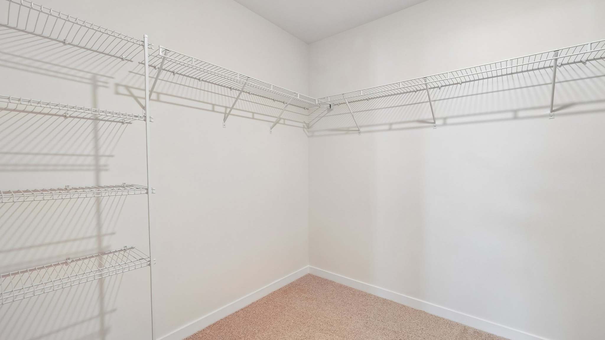 Primary walk in closet, wood floors, and racks
