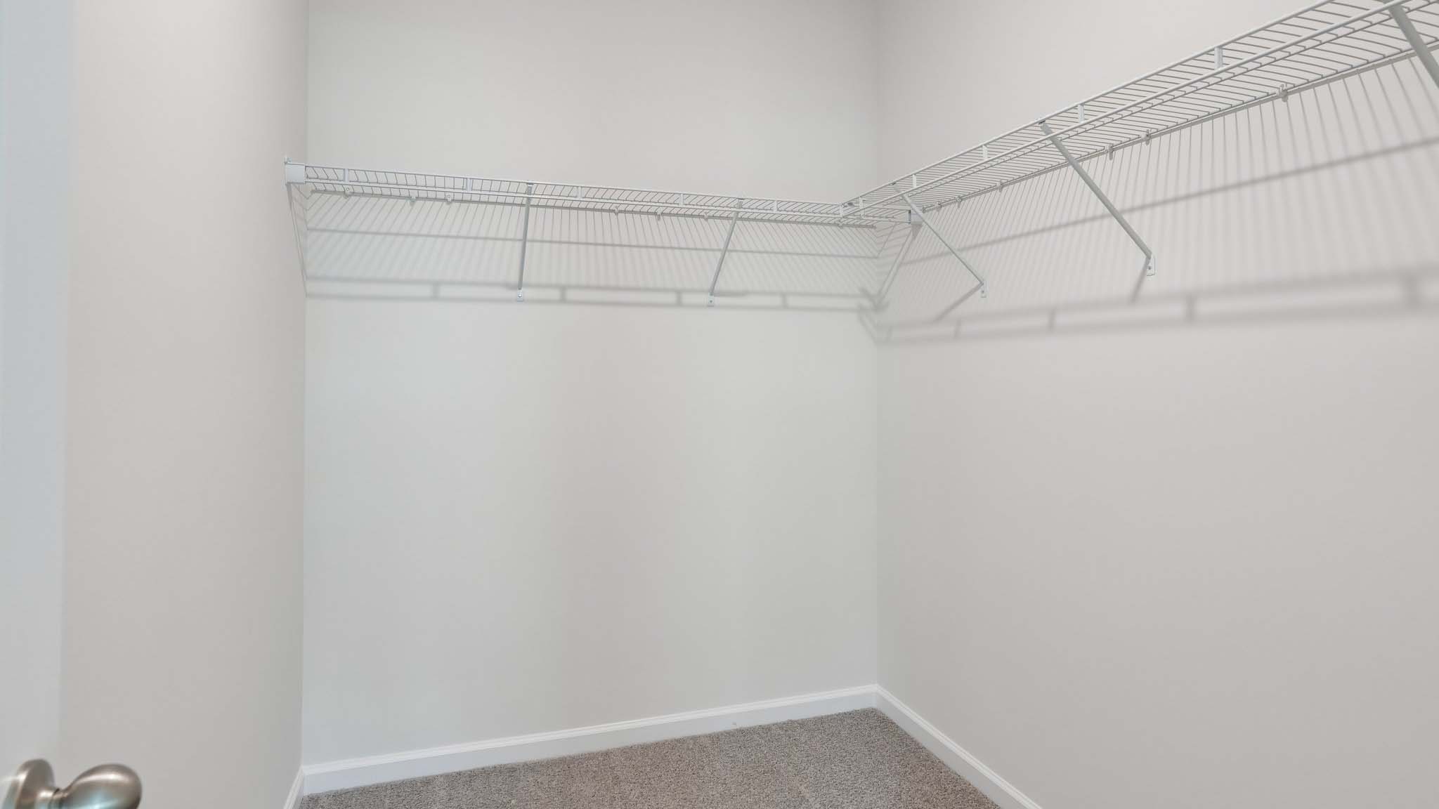 Carpeted walk in closet