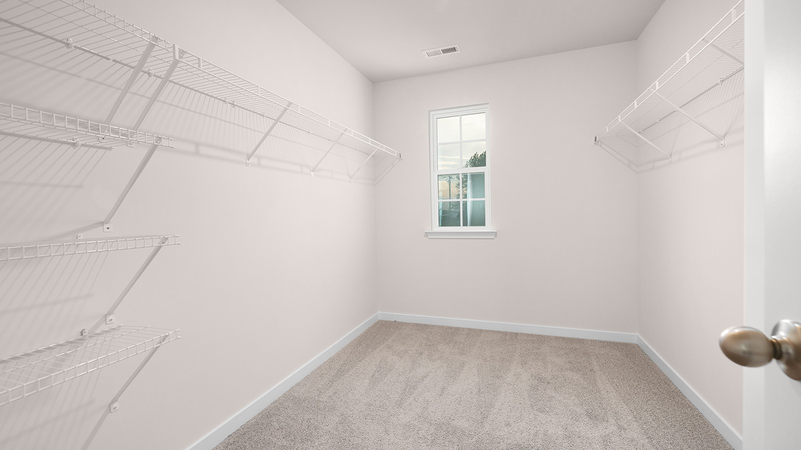Primary bedroom carpeted walkin closet