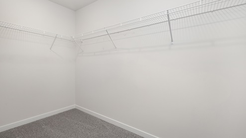 Primary carpeted walk in closet
