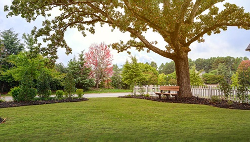 Allston Community park