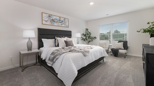 Primary bedroom carpeted with large window
