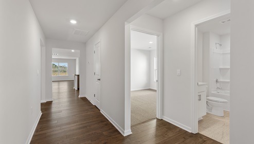 Hallway into home.